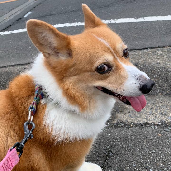 54f2f761 8c3d 4ea9 8c2e 8afa4775a4ab 1692059310181