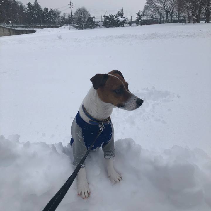 54f30cfe a10e 4718 8978 13fb71363d15 1546666387796