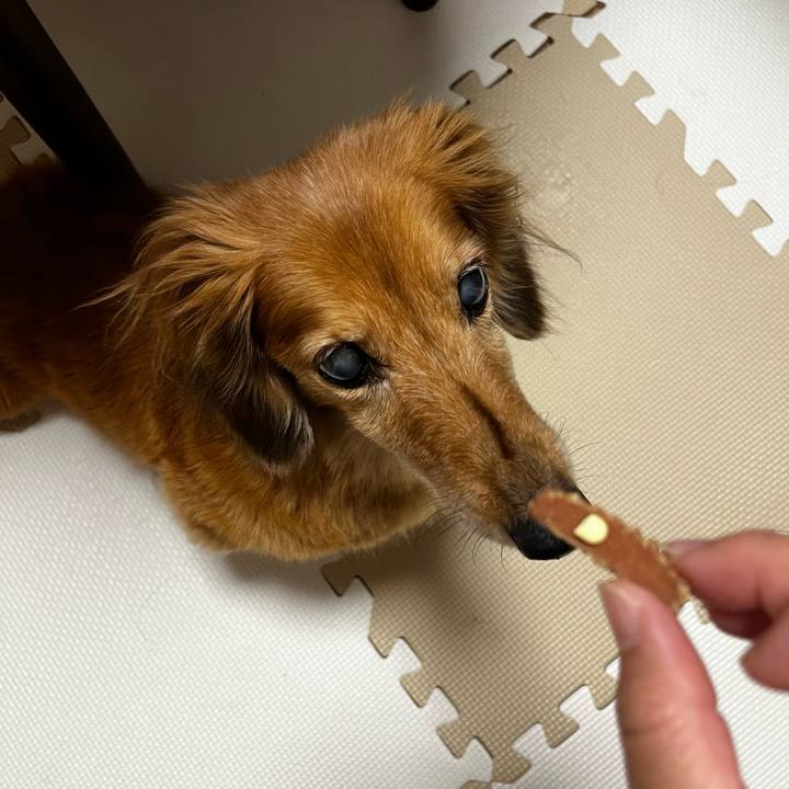 54f361ea e857 4821 a194 25202ea6e0ff 1662468933984