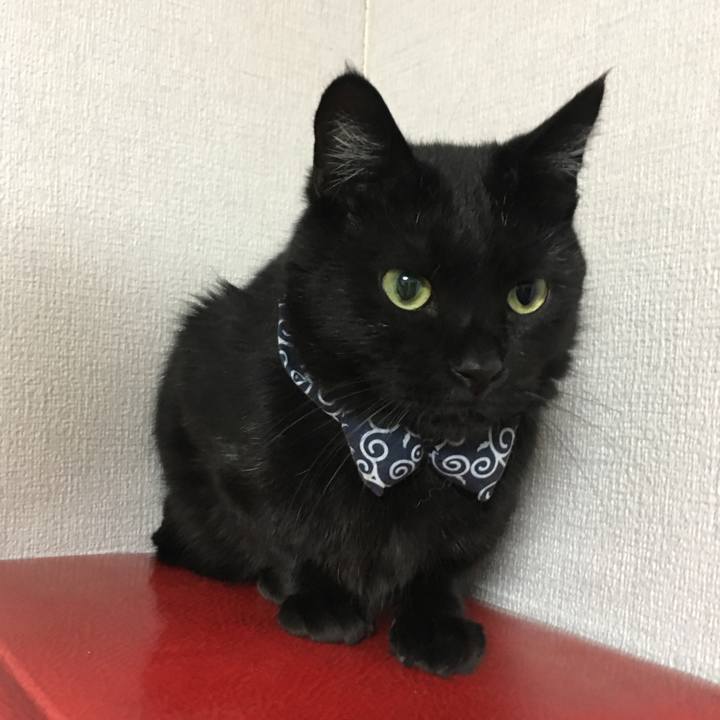 54f38433 6837 41c9 96ce 6459accfda8d 1537262590875