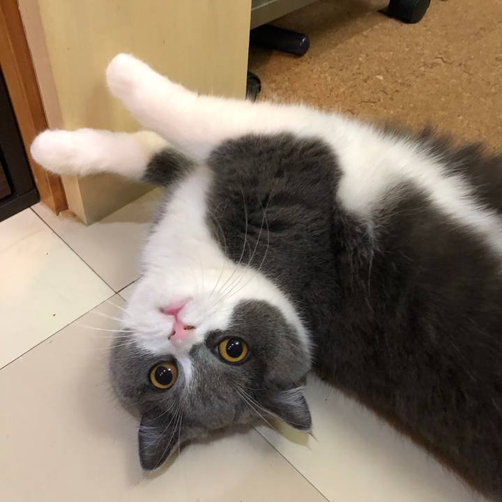 54f3df34 f18b 4921 bf97 17879ad00788 1552129106298