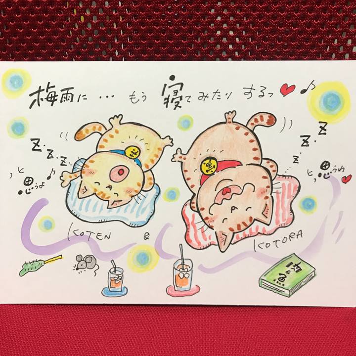 54f3ed43 8432 45a9 8457 aebdd43ebc45 1563549532700