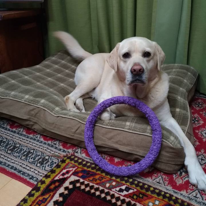 54f43b19 f83e 4c72 a798 d49d762dc230 1637236151610