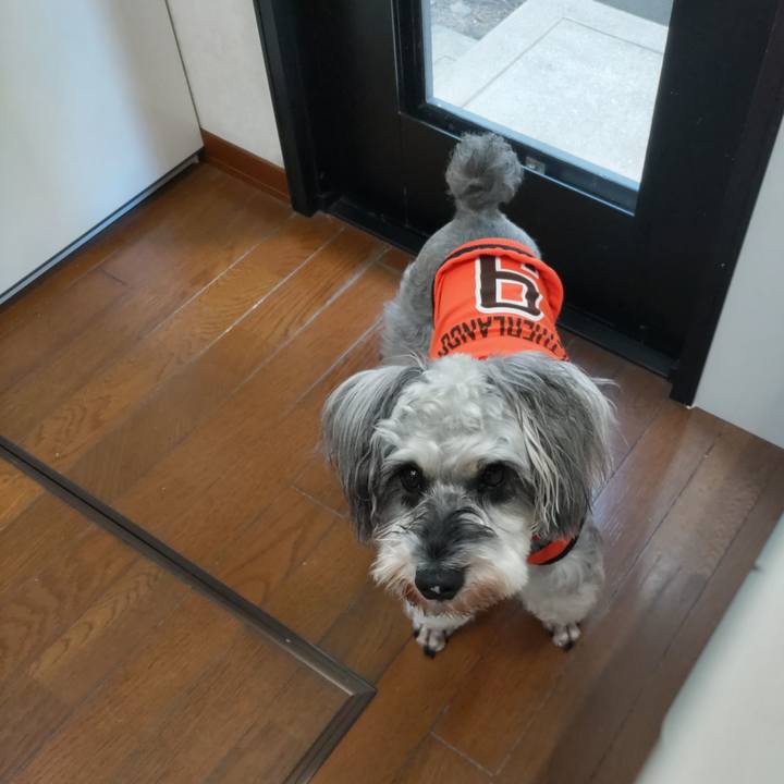 54f45dc2 5732 4177 af7d 3614d01cf8c0 1727319182608