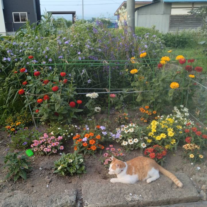 54f46ca5 1054 4187 a553 a9b362d2fd8a 1751839033465