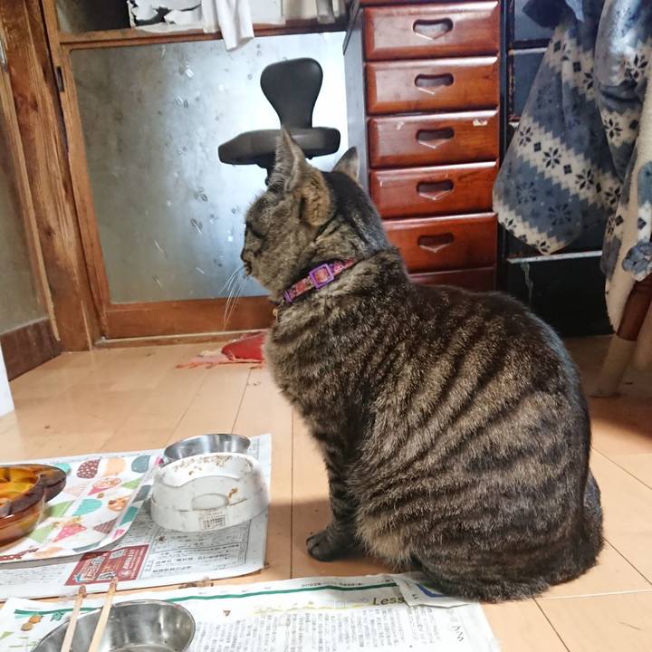 54f497bf d75e 4d90 9034 bfede03fd8e3 1653731694329