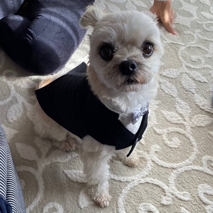 54f4ae3d 37d3 43d7 8b46 da1f2fbe8a8e 1577766748752