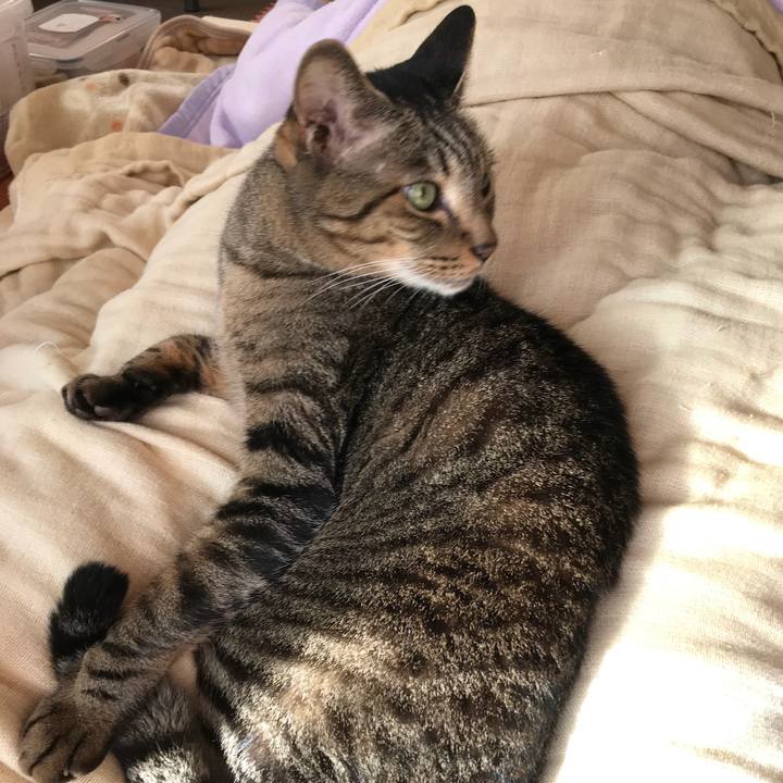 54f4b2f2 5764 4ba4 8107 2baa8d291521 1508290355066