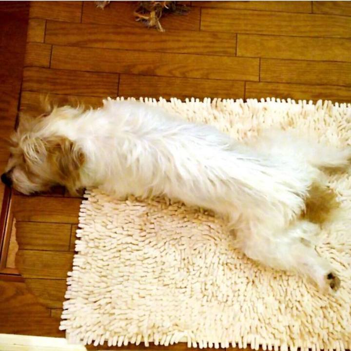 54f4dba5 feaa 4719 a7ed a97836bda7b1 1720878431425