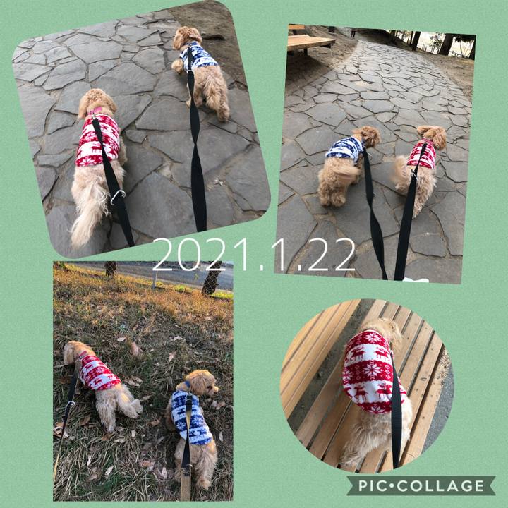 54f4eb4d d82a 4319 a51f 37500ac508d4 1611326539395