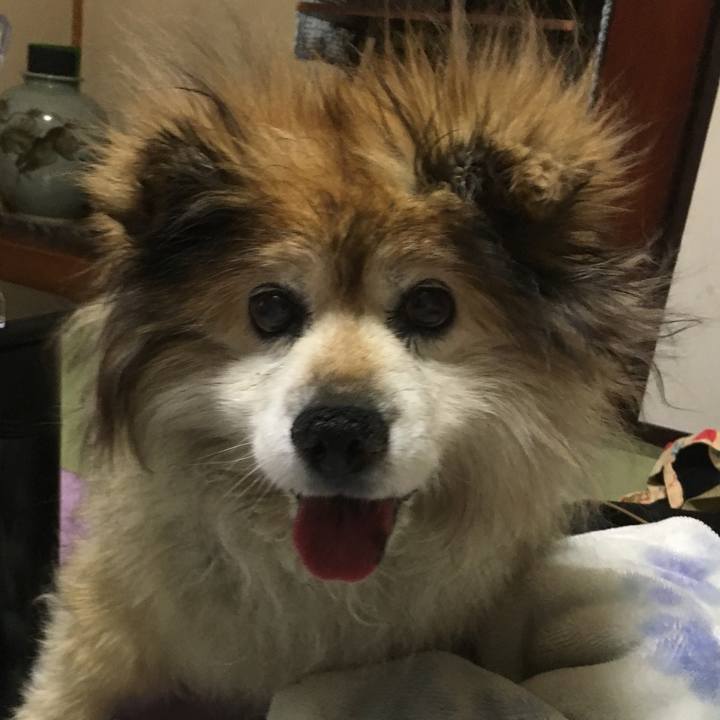 54f54363 3222 49f6 a0e9 18b13ccd9be1 1581659807582