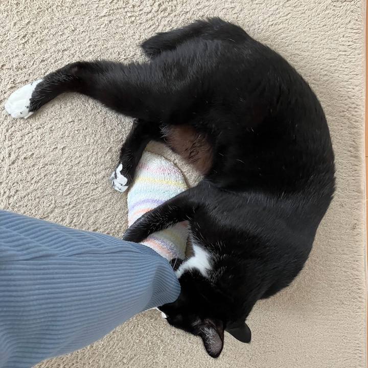 54f547c7 c6ca 446b a1d9 c6b5d9950257 1700624582962