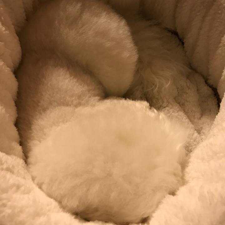 54f550d1 a52b 4e45 bd49 56de25da20b0 1540648656904