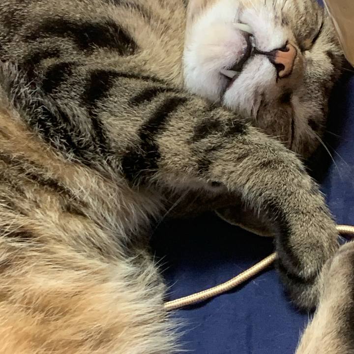 54f5523a 27e4 4ec6 b1b6 f2c5d83eb3b8 1759112604540