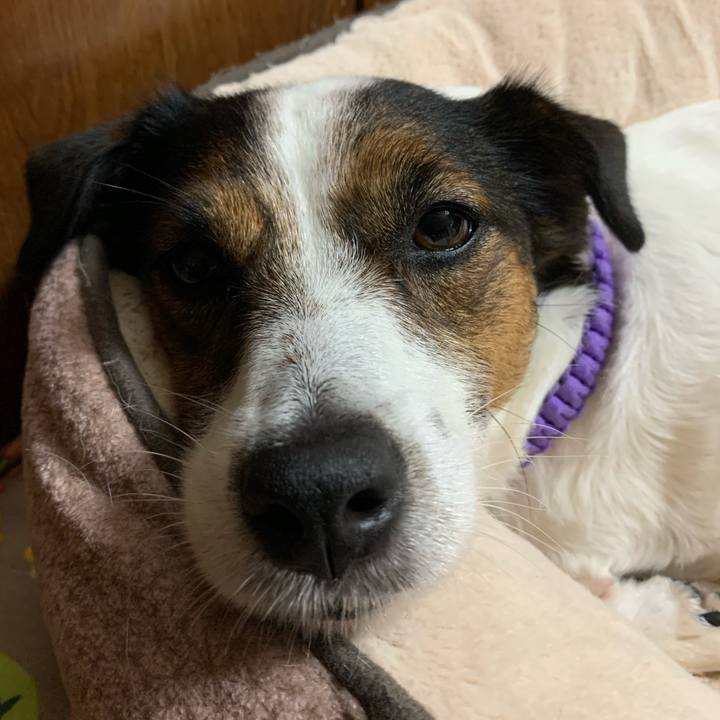 54f557c6 59b8 4487 a0ca 0aea0c6fc4da 1574597731212