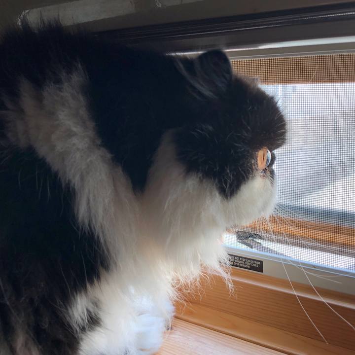 54f57293 e6d0 4e85 a897 4f02b8ce9f49 1537308364331