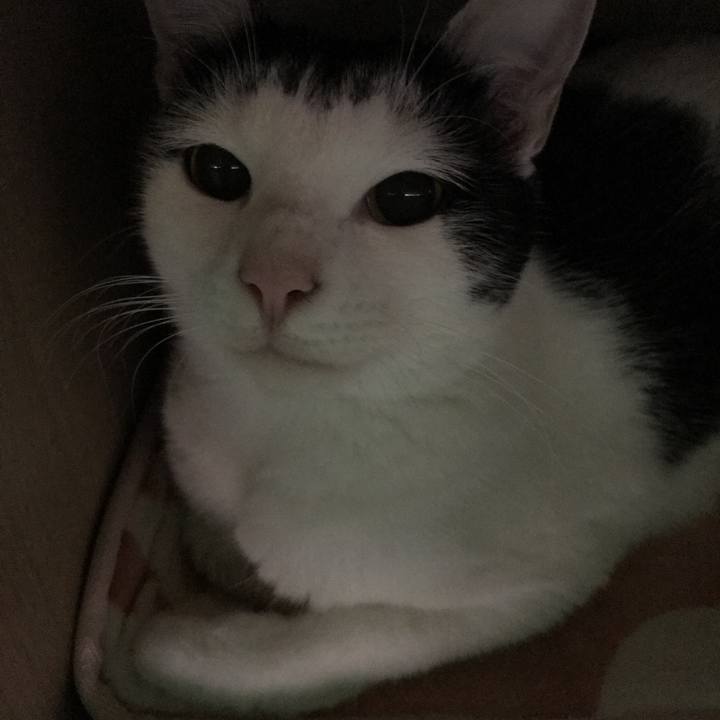 54f58811 4a59 4c51 bddc 08ccbfe9da78 1537794126426