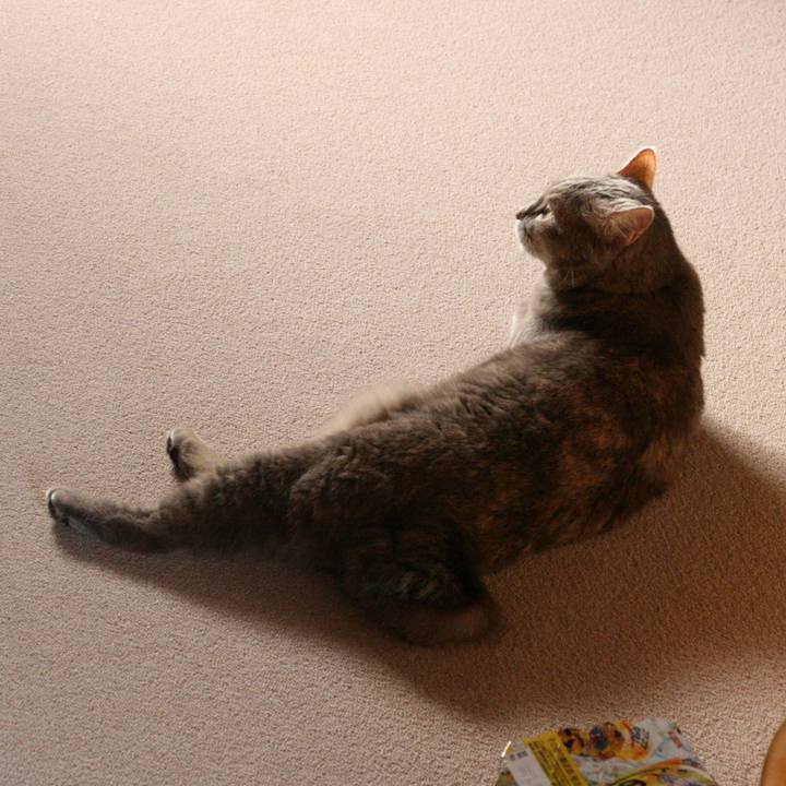 54f59572 22c4 4c11 96a3 1d3dad1cbd22 1569892183815