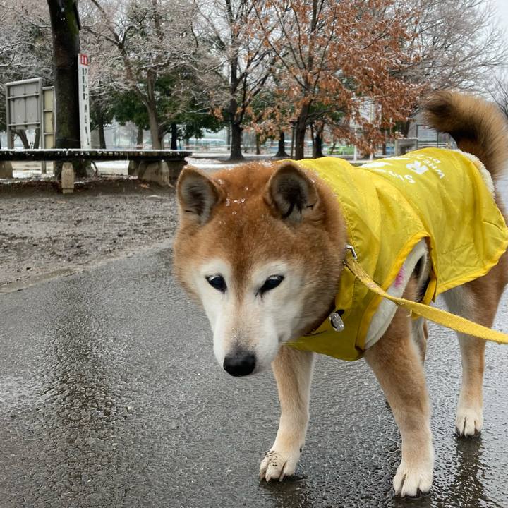 54f5c546 a7f2 4ca5 b872 c59841d9e3a3 1773115546237