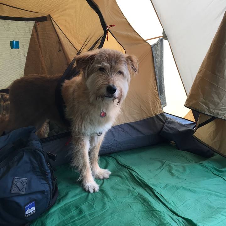 54f5f43f a2f1 4e55 a77c 294e0dc29b3c 1534296258859