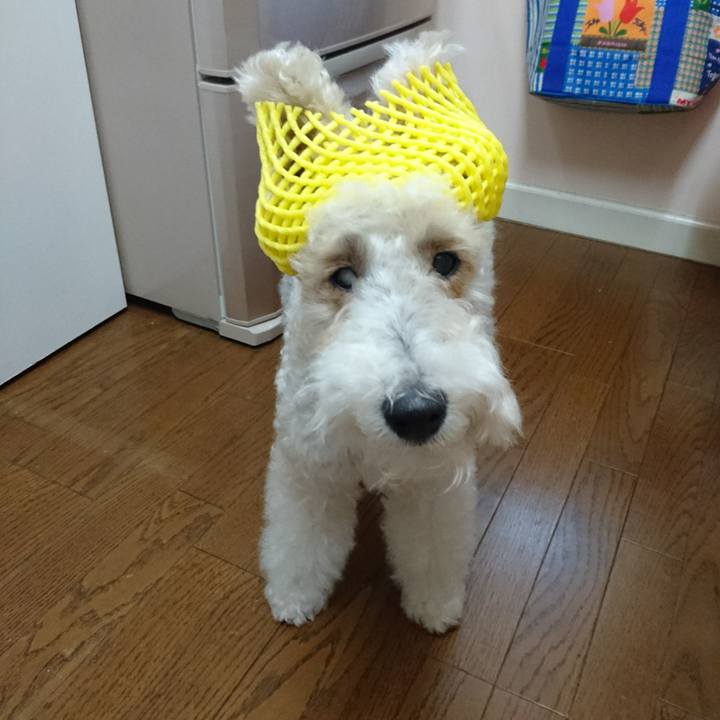 54f5fcc6 391c 4d95 aa94 59a22925b3f7 1527154023449