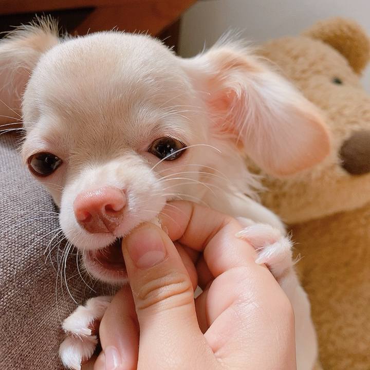 54f630dc c9fd 4393 b801 782716007fb3 1596349472672