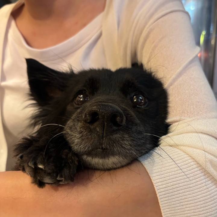 54f69bcd f6fe 46a6 9a51 a4f847d318fa 1758721103271