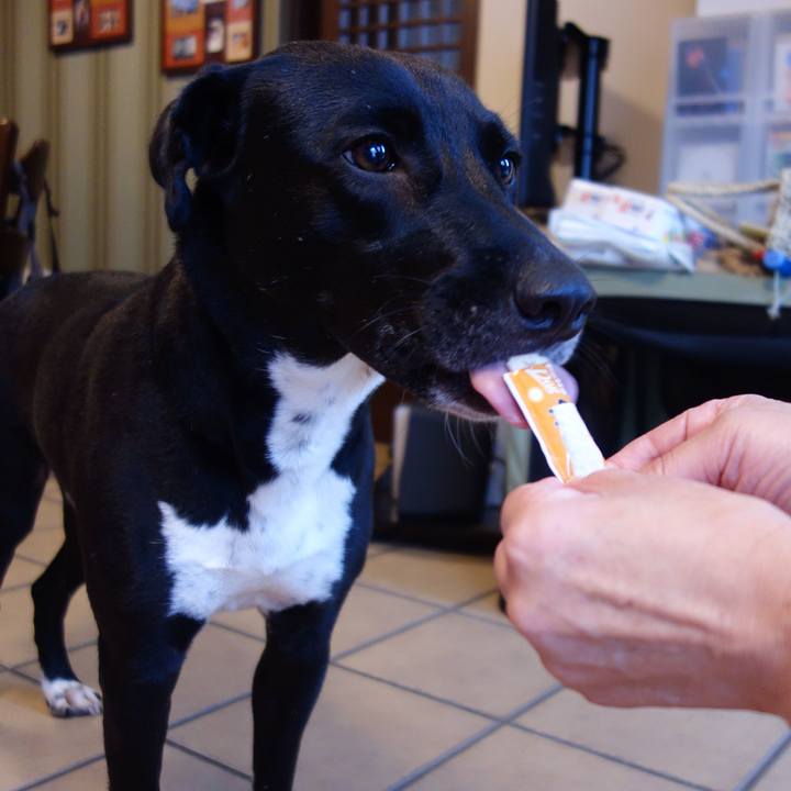 54f6ba6c 0292 4548 8c4f 08ba41c8536f 1596952993093