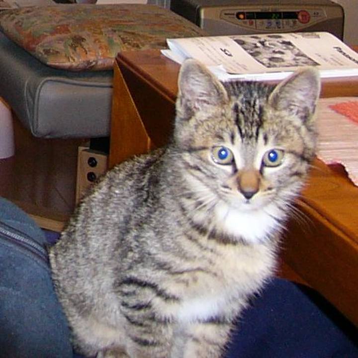 54f6c6f2 2eea 4b2a a944 473531c51fb7 1694739965617