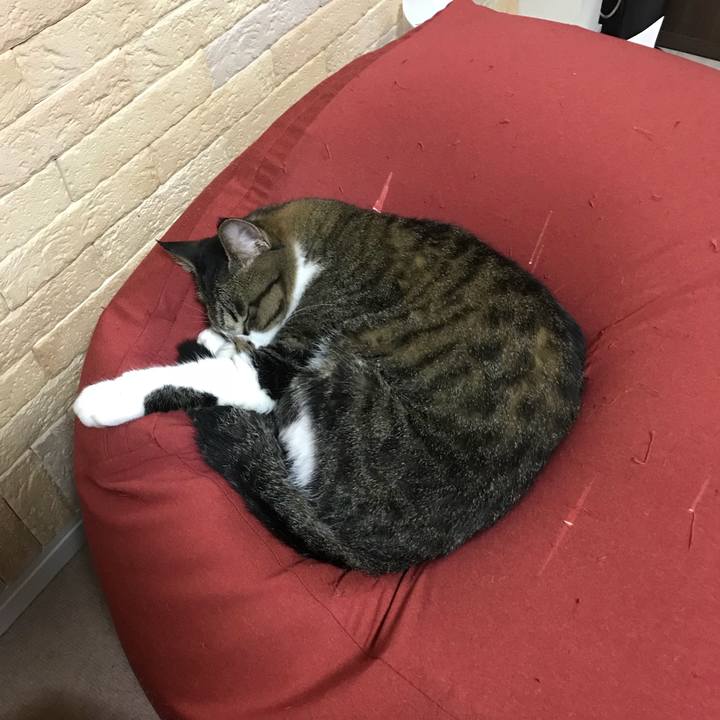 54f71aae 8a23 4381 a36d d23e125659d2 1537105001233