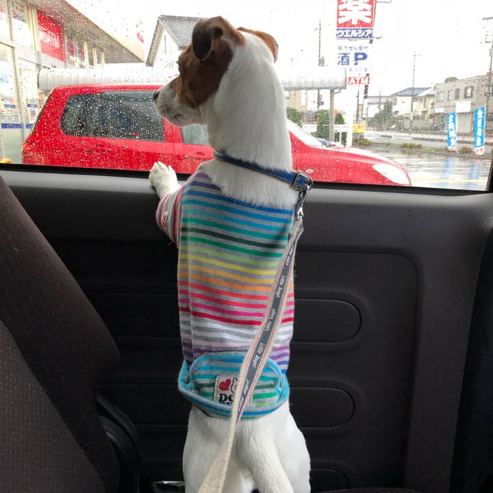 54f73bd7 8197 4b10 8c2a 17f0b14bbc00 1528671682158