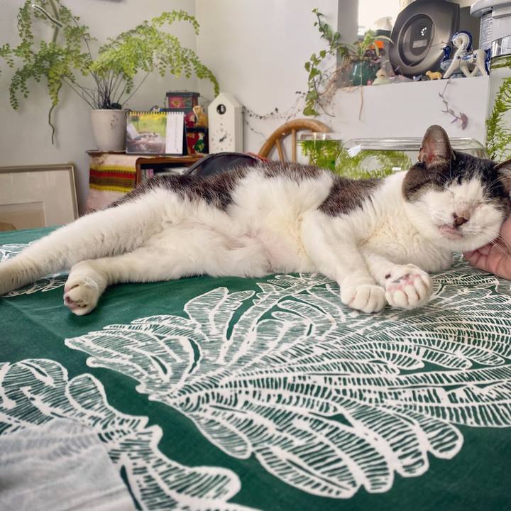 54f75e78 d4c5 46cd ab09 bc42ea08812e 1620278787397