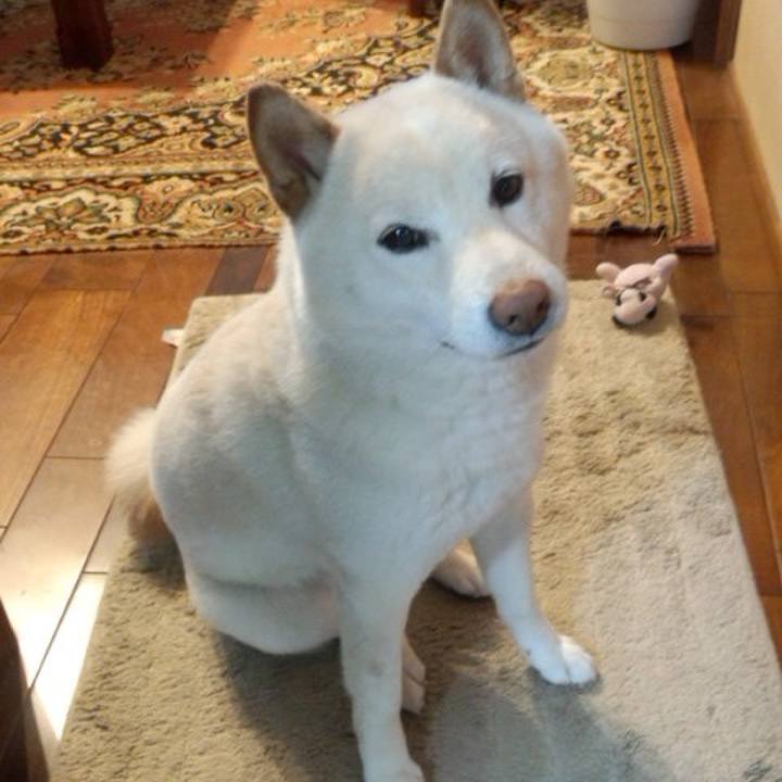 54f7c45c d68a 44f1 8311 2bec49ebb0f2 1636638448900