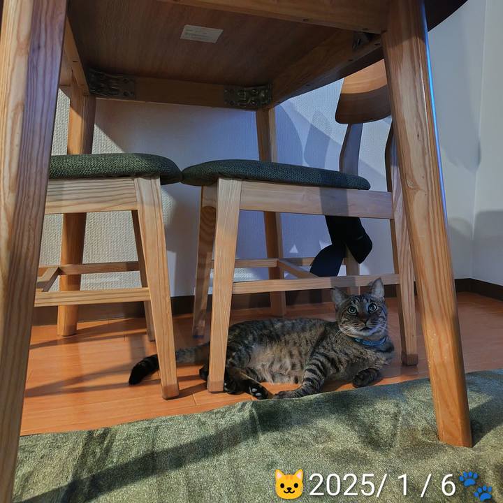 54f7d008 748d 4ea2 8505 0b7ceaf60f50 1769176548671