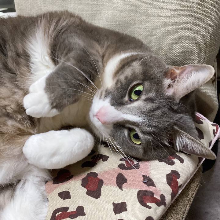 54f80189 ac70 4146 b4d0 3411b1b404b5 1642917164785