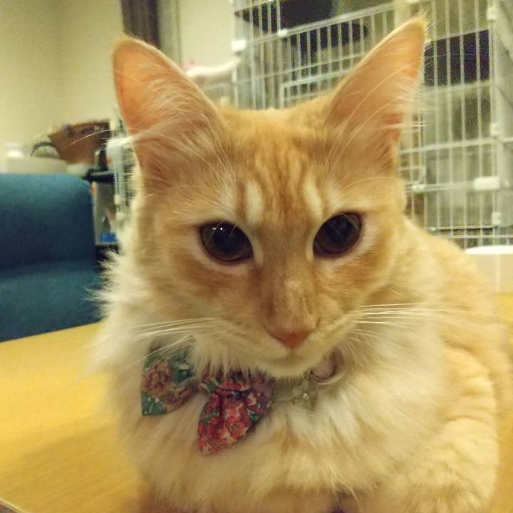 54f80348 4583 4225 adf8 53fc7c920c7e 1631625048566