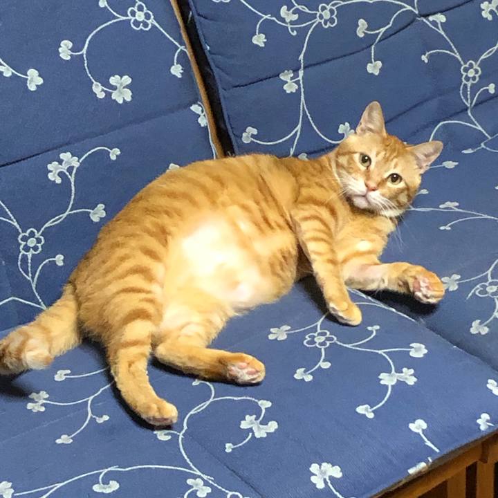 54f833b8 9bb0 47eb 9e83 8f86259930e0 1569938229217