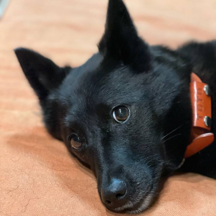 54f840da 01cf 4b08 bb86 18624e1d9eb1 1632662330530