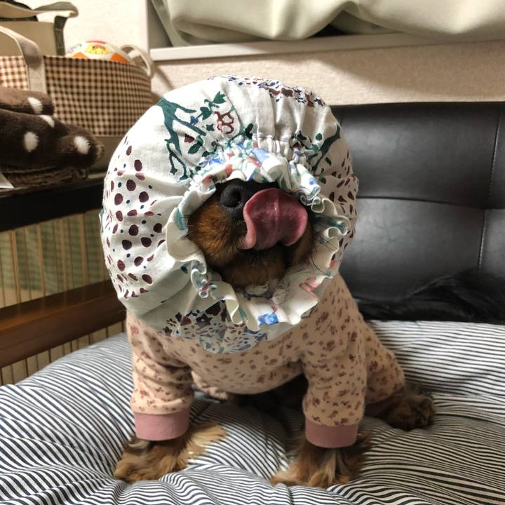 54f86866 f72a 4780 9106 f8373dc13b6f 1556110911682