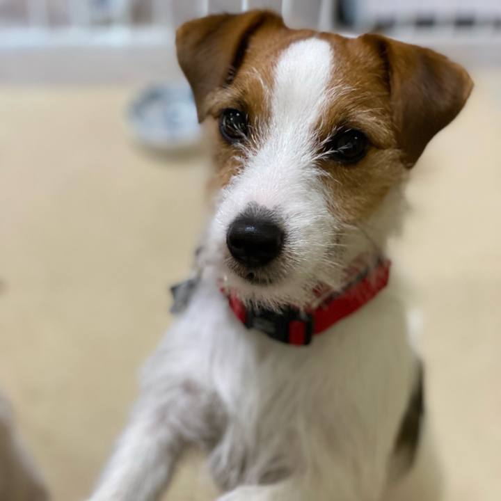 54f891c6 5f41 428e a88d 4210b7d04cde 1647128871143