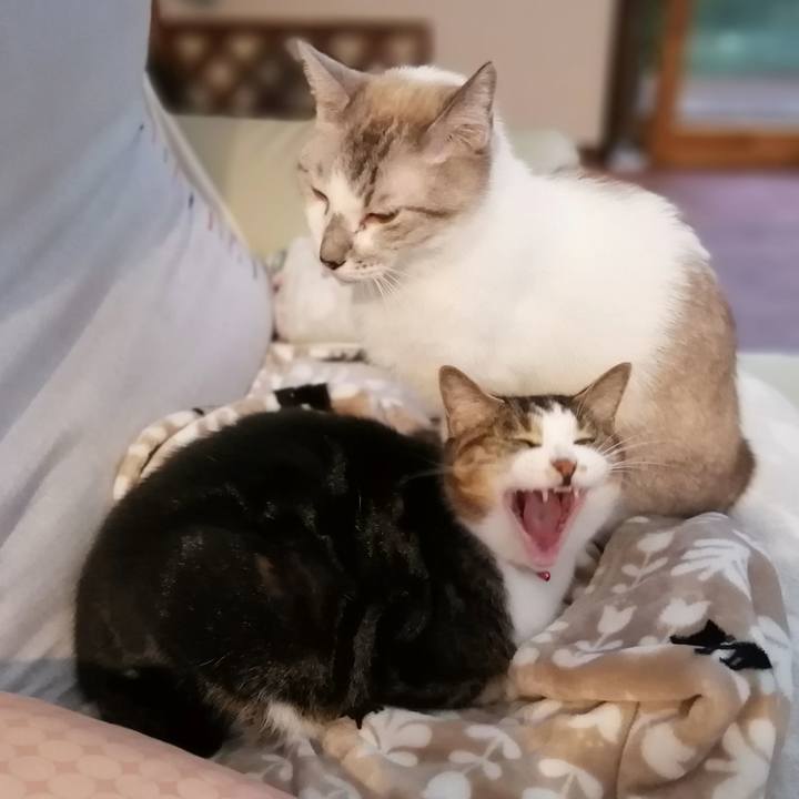 54f8a2a4 de33 48e3 a6c9 38d4ecaa73e1 1571386423874