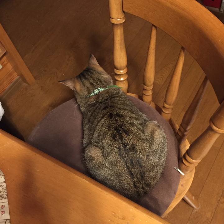 54f8b102 af50 4609 8c40 9b6b2ce3054c 1539898162699