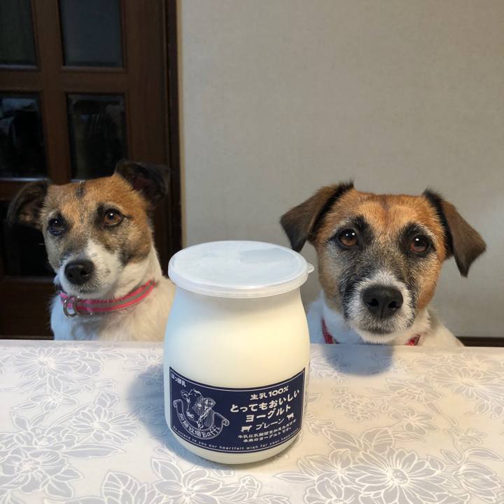 54f8dcfd 3a96 44d0 868a a9190cafc440 1607866564233