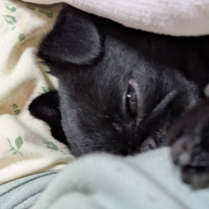 54f8ef48 4b17 4b5d 8b95 b88071b91455 1763469989013