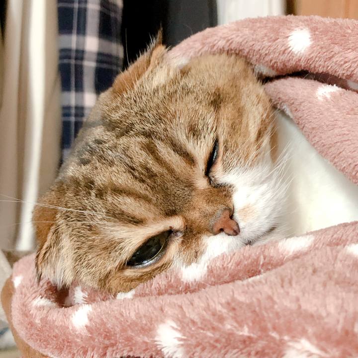 54f9056d c4f7 4466 98ff 64d0020d6651 1574505860294