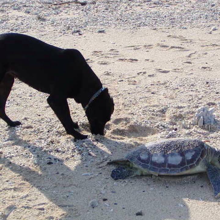 54f914dc 9afe 4899 b941 2a370971e1be 1522031900741