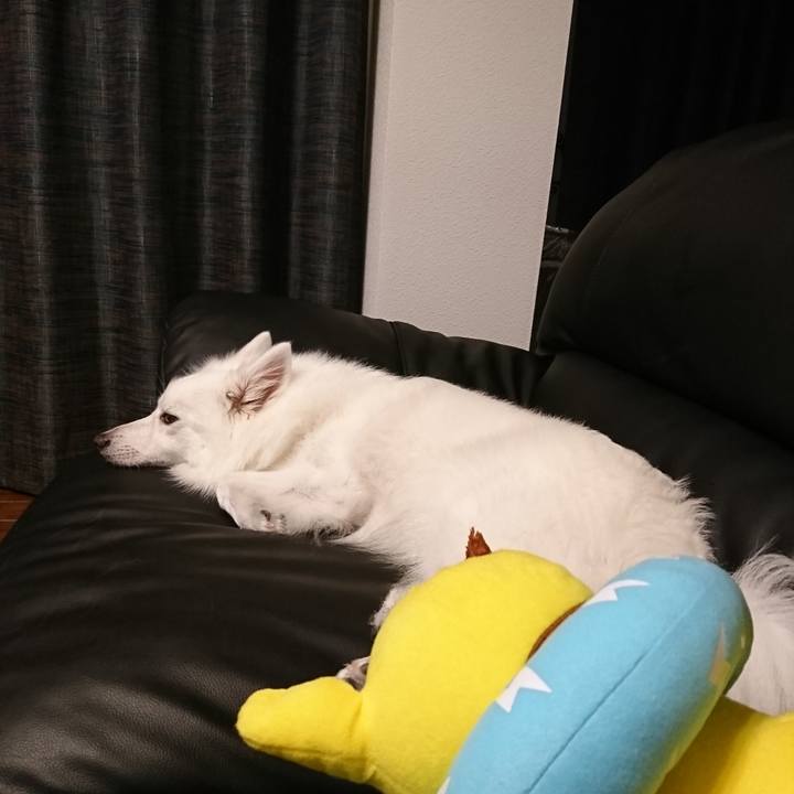 54f93a38 542b 4d9f b363 569436f90674 1532792732857