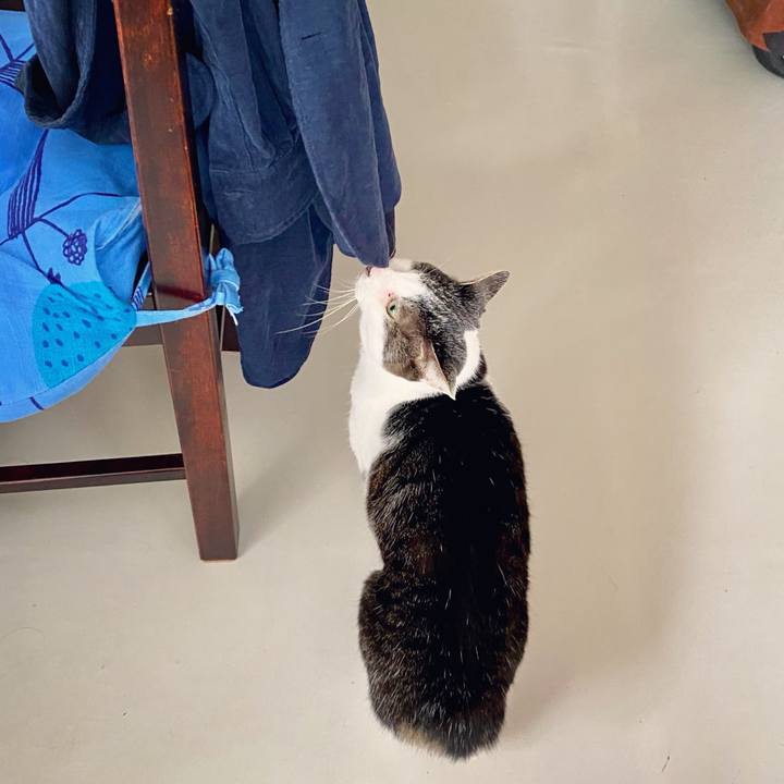 54f960b2 f60f 4fd0 98cc 311655ab725d 1615504831068