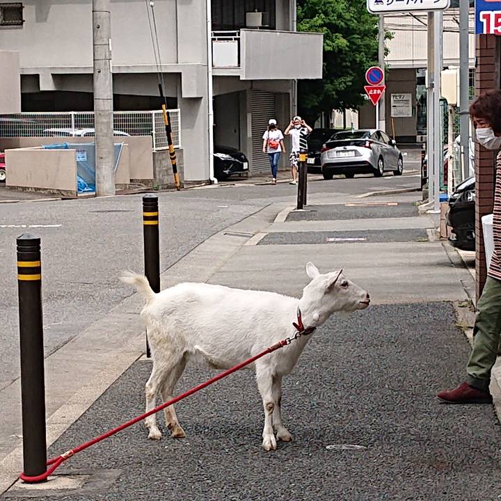 54f96164 5288 4e2d 9b27 c65ff4dc8a36 1591423248405