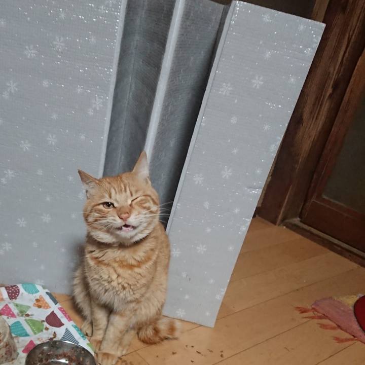 54f97635 a206 4bbd b5e5 e59ef8d51b06 1649970958643